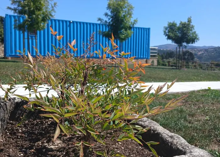 Vizinhos Do Sol Valadares (Viseu)